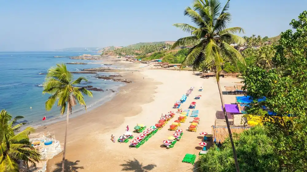Calngute Beach 3