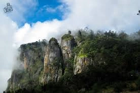 Ooty and Kodaikanal Tour - Sim's Park Coonoor terraced botanical garden