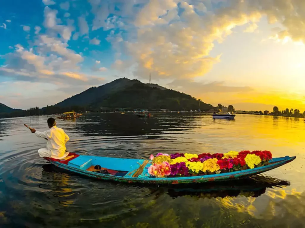A boatman rowing a long blue boat loaded with a vibrant arrangement of yellow, purple, and red flowers on Dal Lake during a golden sunset.
