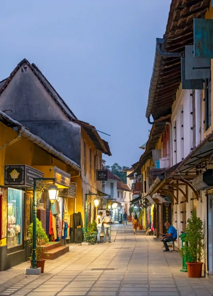 Travellers on Kerala tour from Bangalore by SMT`