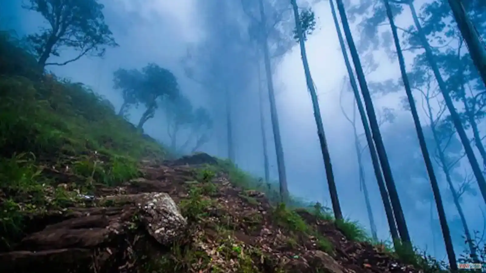 Ooty and Kodaikanal Tour - Pillar Rocks Kodaikanal granite pillars mist