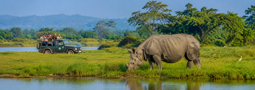 Assam Meghalaya Tour