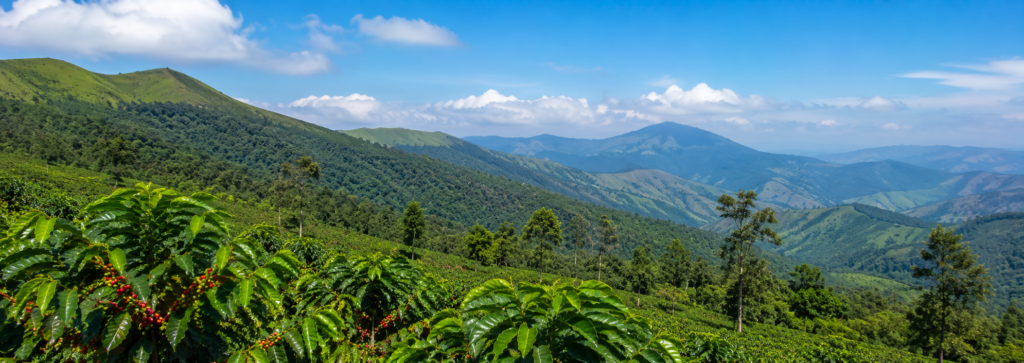 Chikkamagaluru Tour